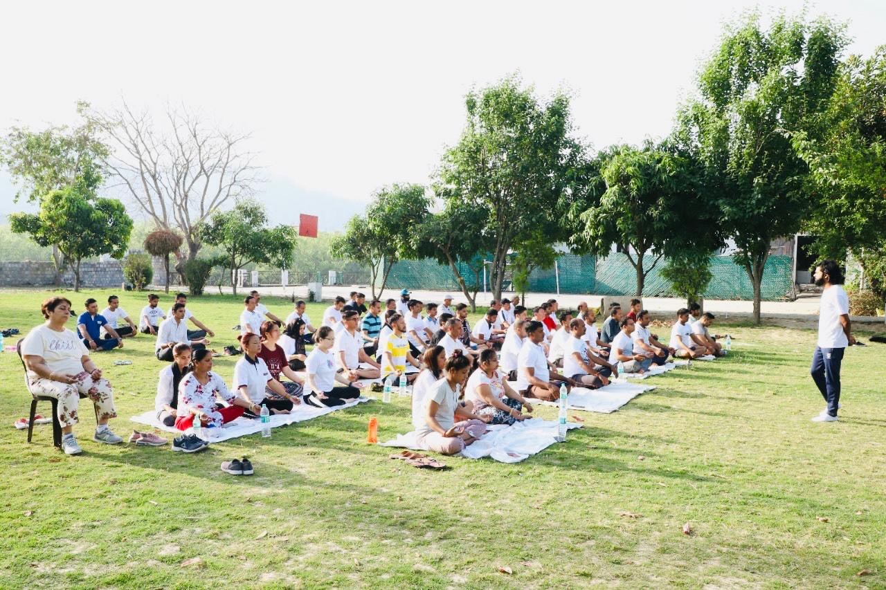 Group meditation session outdoors on the grass
