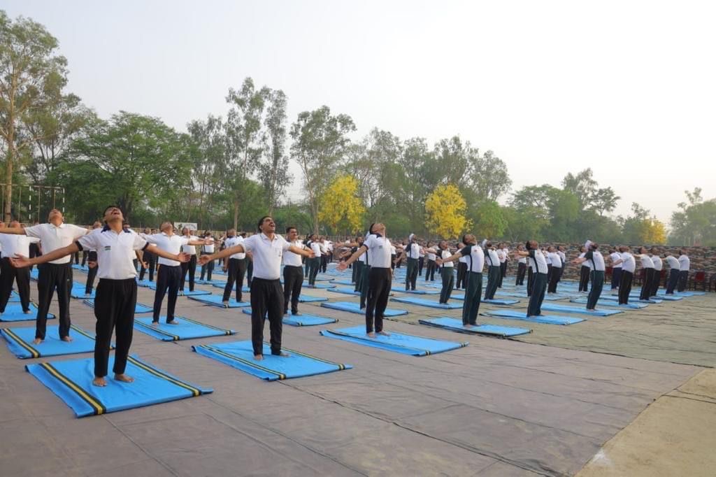 Large outdoor mass yoga session